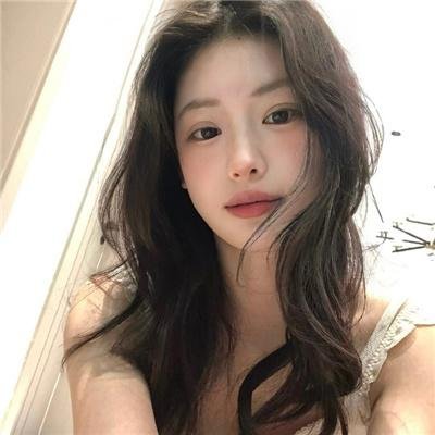 狐狸女士第二季